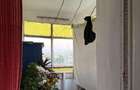 Apartament 3 camere strada Padesu - 7