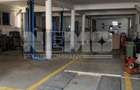 Hale  Service 50-90mp I Suceava/Scheia I400-500 Euro/Luna - 3