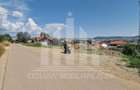 Teren intravilan | De vanzare | 2350 mp | 24 ml deschidere | Cetate - 2