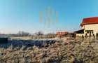 Teren intravilan Tăuții Măgherăuș , 540 mp sau 1090 mp  ,ideal pentru casă - 5