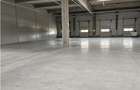 Spatiu Industrial - 4600 mp - Productie - Depozitare - Distributie - 8