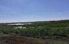 OCAZIE : INTRAVILAN com. MURIGHIOL - 19 euro/m.p. Deschidere Dunare  74 m. - 16