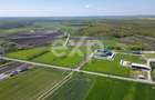 Black Angus Farm with authorized Slaughterhouse - 6