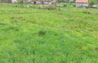 Teren intravilan cu utilitati, zona turistica Bulz,Bihor - 4