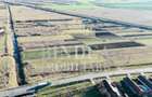 Parcele teren intravilan 1500mp la 15euro/mp in Pischia - 6
