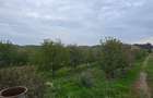 LIVADA  DE VANZARE FOCSANI-DUMBRAVITA  1,8  HA - 10