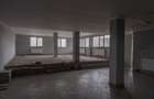Spatiu comercial de 175mp, ideal pentru showroom, birouri sau depozitare - 3