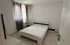 Inchiriere apartament 2 camere zona Colentina - Parc Plumbuita - 3