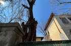 REV2005343 Oportunitate Investitie l Proprietate ideala pentru Dezvoltare - 8