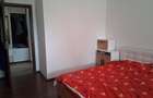Sanmihaiul Roman - Casa individuala cu 3 dormitoare, complet mobilata si utilata - 10