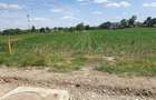 Teren intravilan 1.000 mp | Moara Vlăsiei | Strada Berzei - 3