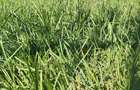 Casă minunata intr-un cadru natural de poveste  - 7