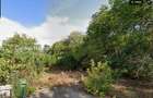Teren 317MP | Straulesti | Langa padure | Proiect | Autorizat | - 6