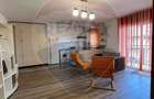 Apartament 2 camere de închiriat Strada Constantin Brâncuși - 2