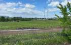 Pipera-Hive Buildings, PUZ, CUT=3,24 Hmax=47,45 m - langa Hils Nord - 7