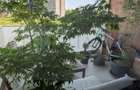 Apartament 3 camere - AFI CITY - Laminorului - Parcare - 15