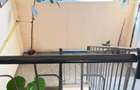 REPUBLICII zona CATEDRALEI 2camere decomandate, etaj4-acoperis! - 10
