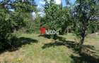 Teren intravilan | 2.810 mp|18ml|Zona Fratelia| - 17