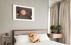 Apartament 2 camere Plaza Residence Loc de parcare inclus - 2