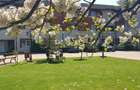 Villa 6 bedrooms | residential complex with tennis court | Cambridge School - 1