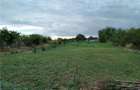 Teren 1750 mp, zona Cazasu - 4
