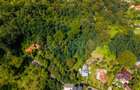 Teren 3.886 mp, Breaza - Podu Vadului, 30 m deschidere la asfalt - 15