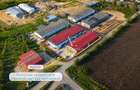 Antony Estate | Vanzare Hala - 2019 mp, Borsului - Oradea - 14
