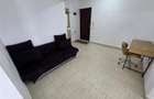 Apartament tip sudio cu parcare subterana si boxa Vasile Goldis - 11