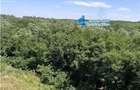 Inchiriere apartament 2 camere mobilat padure Greenfield Residence - 23