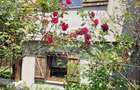 Casa ultrafinisata in mijlocul naturii, gradina amenajata, Gilau - 4