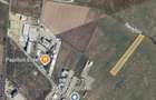 Teren 10.000 mp zona industriala Albota 10 euro mp -Arges - 2