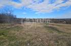 Teren intravilan 4087mp | 34 m front | Dambul Rotund | Zona Lombului - 2