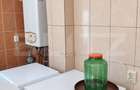 Casă renovată cu farmec istoric, livadă și 3.600 mp de teren | Teiș - 7