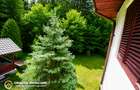 Cabană de Vânzare în Tarcău – Natură, Relaxare și Pescuit la Poartă! - 6