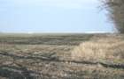 Afumati - Tarla 9, teren agricol in suprafata de 9.200 mp. - 8