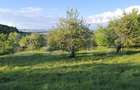 Teren extravilan de vanzare, 10.000 mp, in Valea Zizinului - 1