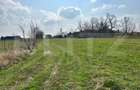 Doua parcele de vanzare | 900mp | Floare de colt - 3
