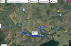Lipia deschidere la DJ 101B ( Snagov-Nuci) - 3