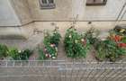 Apartament 3 camere decomandat-Oltenita-Calarasi - 14