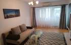 Apartament 1 camera Nicolina-Rond Vechi, mobilat si utilat - 2
