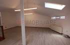 Loft spatios la Cismigiu - 7
