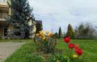 Casa cu 5 camere, 386 mp, Sangeorgiu de Mures, zona Apollo Spa - 11