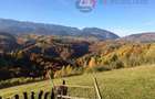 Oportunitate! Teren 10.669 mp în Moieciu de Jos –Natură Pură, Potential Turistic - 1