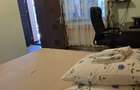 450euro/luna, Valea Lupului Antibiotice, corp casa cu 3 camere - 7