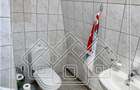 Casa de vanzare in Sibiu - curte individuala  zona  Turnisor - 23