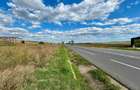 Teren 1.5 HA deschidere 155 m la E85 DN28 nod Autostrada Moldovei A8 intrare Letcani - 7