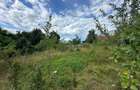Teren intravilan, 3694 mp., zona Primaria Bocsa, COMISION ZERO% PT. CUMPARATOR. - 12