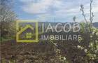 Teren intravilan 2554 mp, com. Prajesti, jud. Bacau - 16