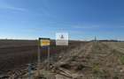 Teren intravilan 47.400 mp, Vama Veche, 200 m de Marea Neagra - 9