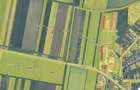 COMISION 0% Teren extravilan 1 ha | Recas - 2